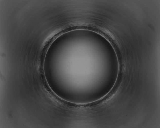 X0000090860922200708030944