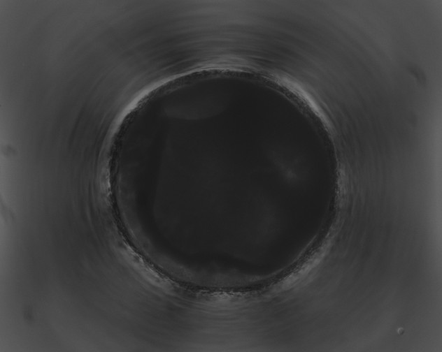 X0000090860923200708030944