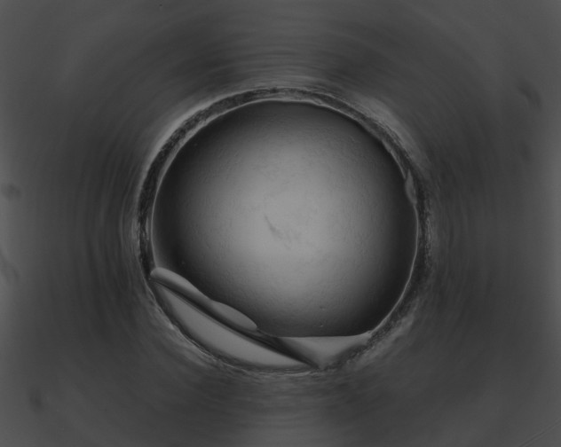 X0000090860924200708030944