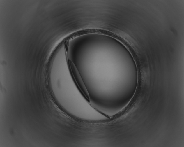 X0000090860926200708030944
