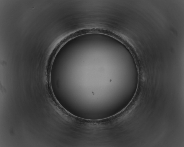 X0000090860927200708030944