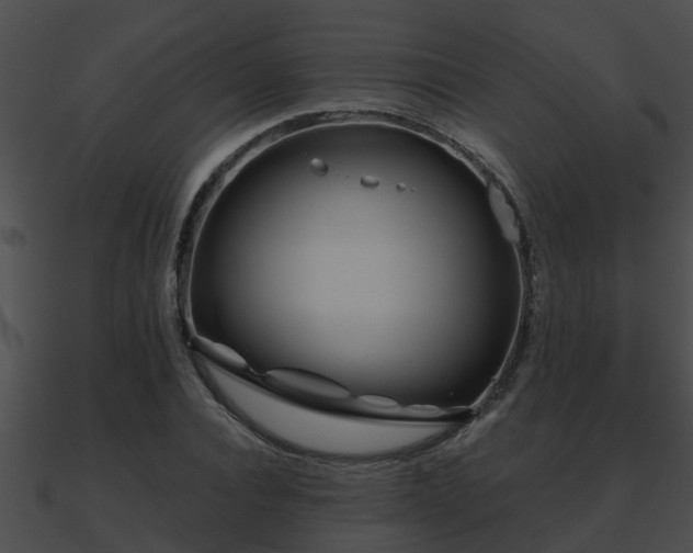 X0000090860928200708030944