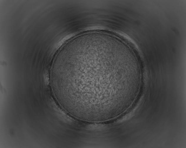 X0000090860929200708030944