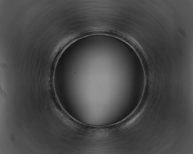 X0000090860930200708030944
