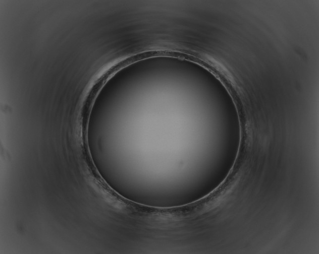 X0000090860931200708030944