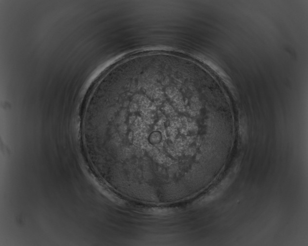 X0000090860933200708030944