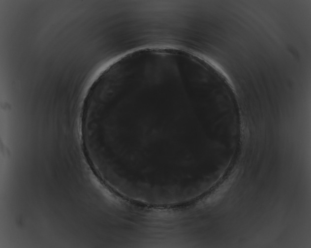 X0000090860935200708030944