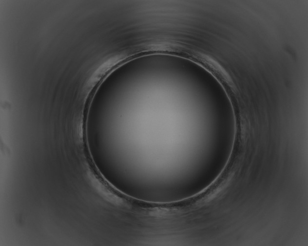 X0000090860938200708030945