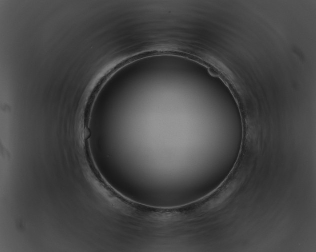 X0000090860939200708030945