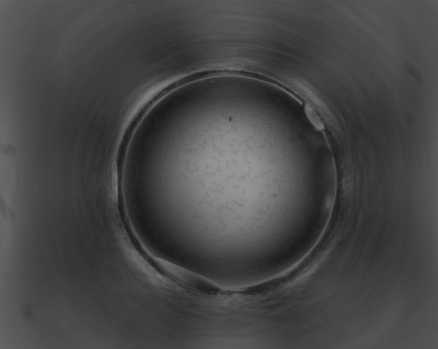 X0000090860940200708030945