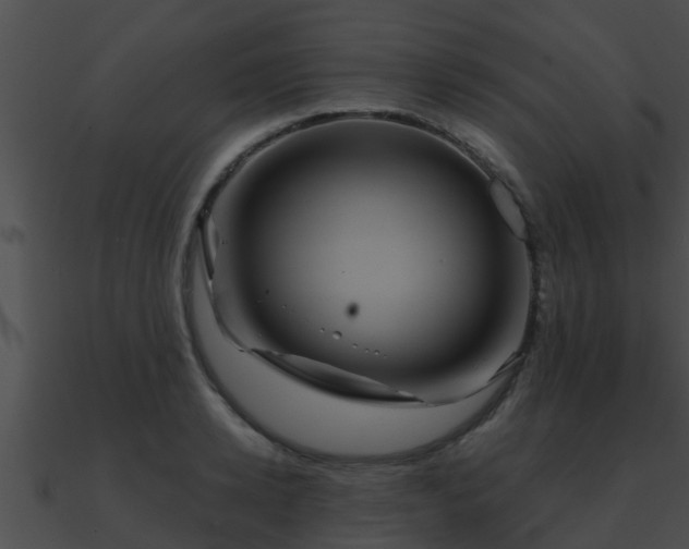 X0000090860942200708030945