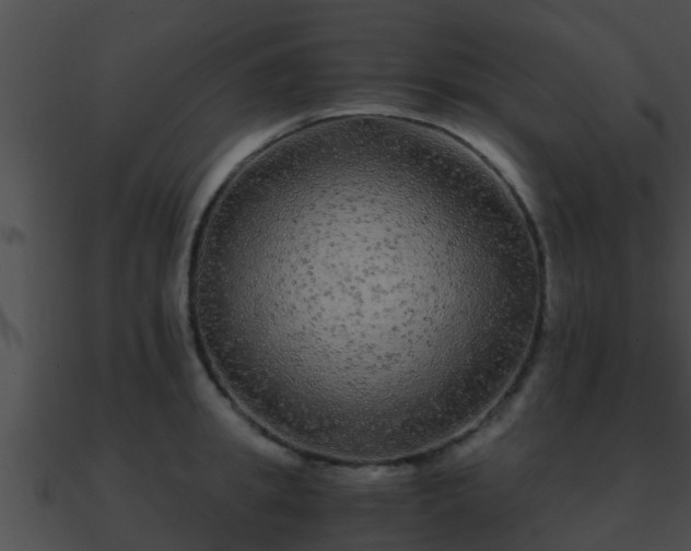 X0000090860949200708030945