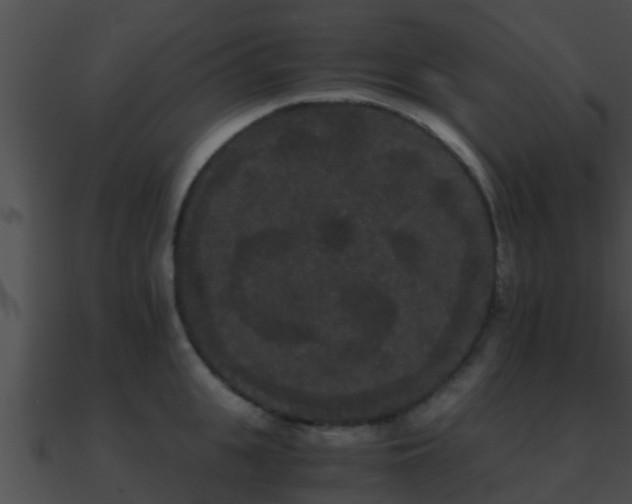 X0000090860951200708030945