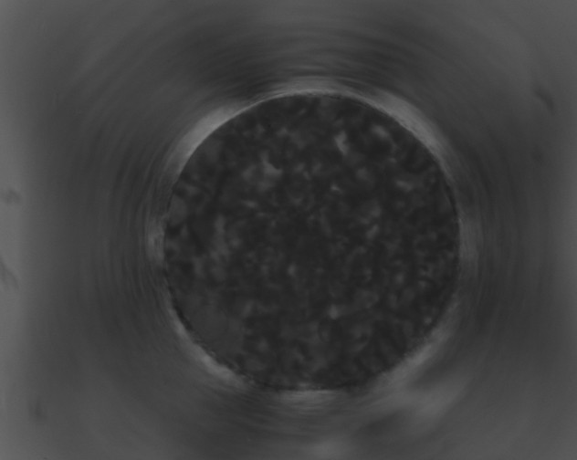 X0000090860953200708030945