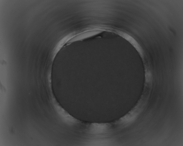 X0000090860954200708030945