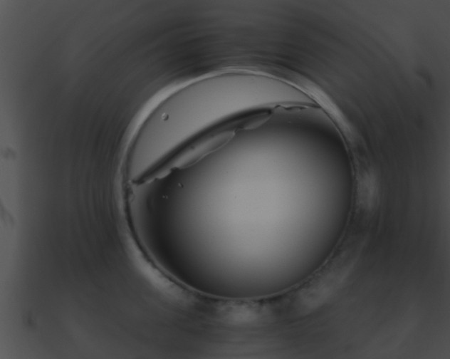 X0000090860955200708030945