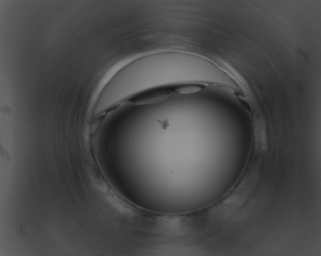 X0000090860956200708030945