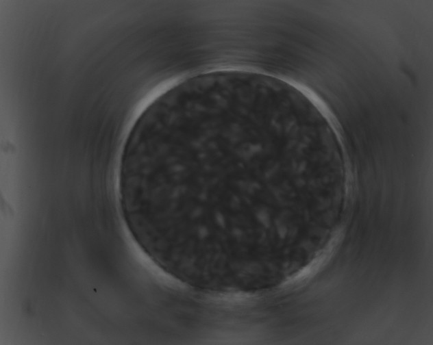X0000090860957200708030945