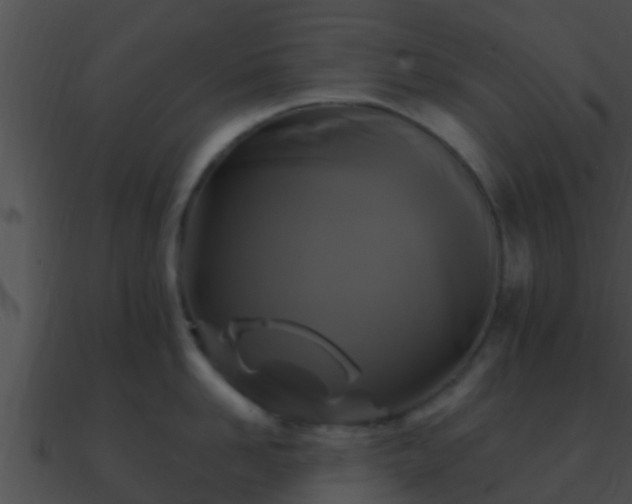 X0000090860958200708030945