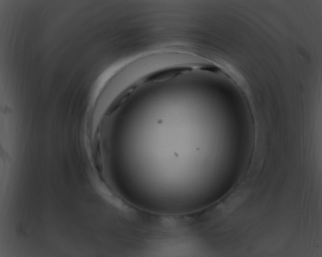 X0000090860960200708030945