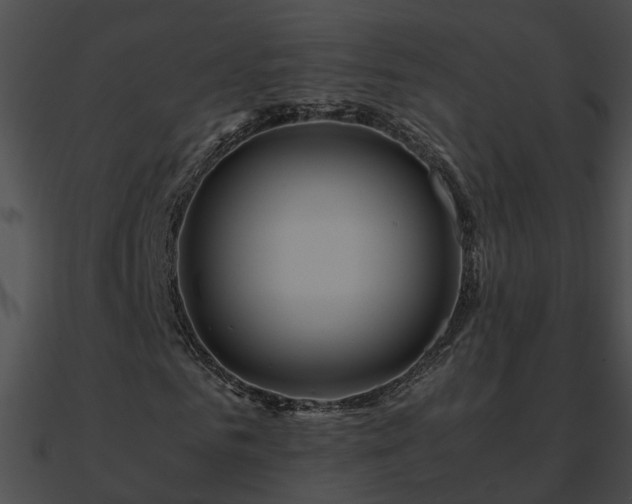 X0000090860961200708030944