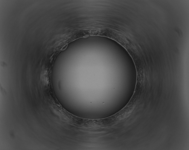 X0000090860962200708030944