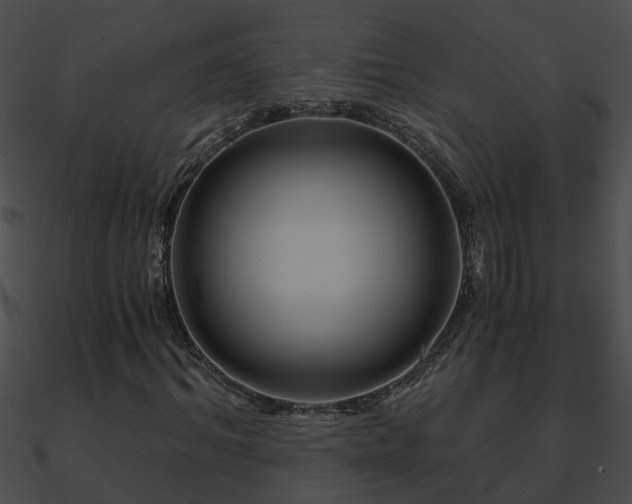 X0000090860964200708030944