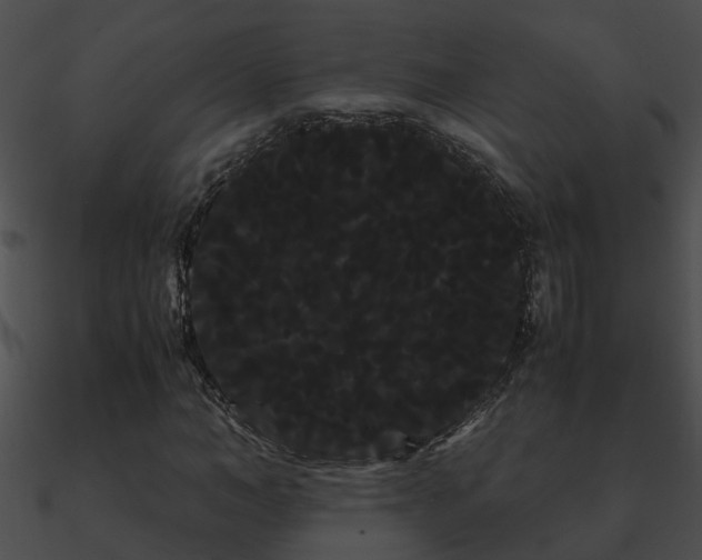 X0000090860966200708030944