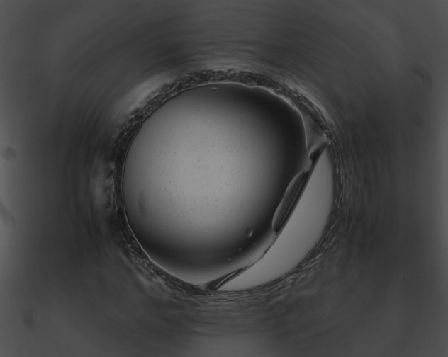 X0000090860968200708030944
