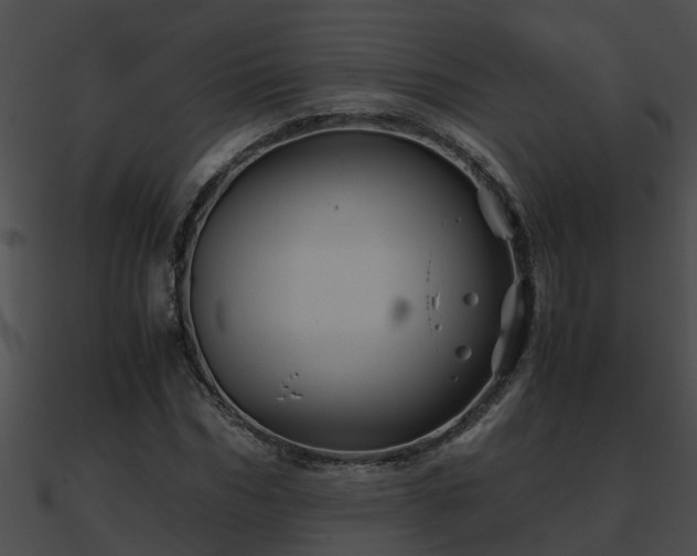 X0000090860970200708030944
