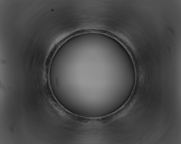X0000090860974200708030944