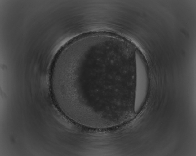 X0000090860975200708030944