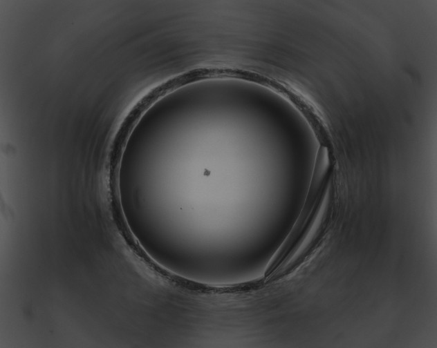 X0000090860976200708030944