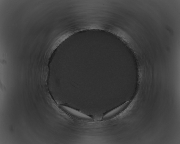 X0000090860977200708030944