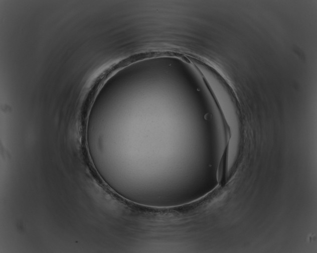 X0000090860979200708030944