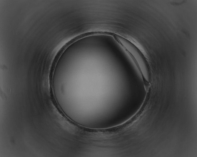 X0000090860980200708030944