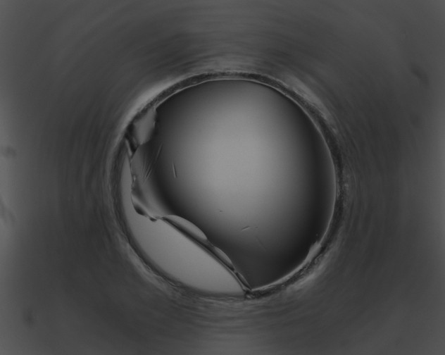 X0000090860981200708030944