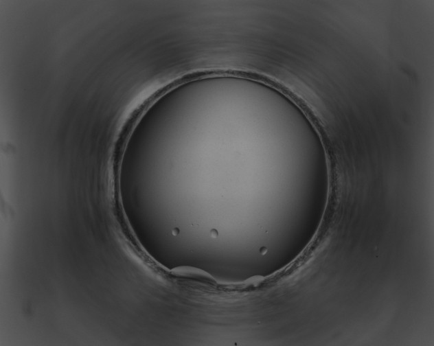 X0000090860982200708030944