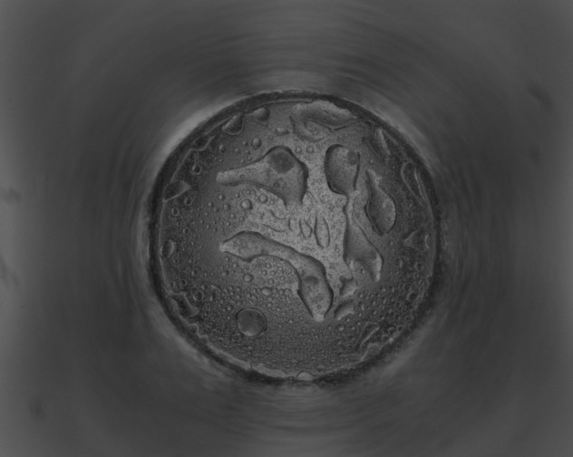 X0000090860983200708030944