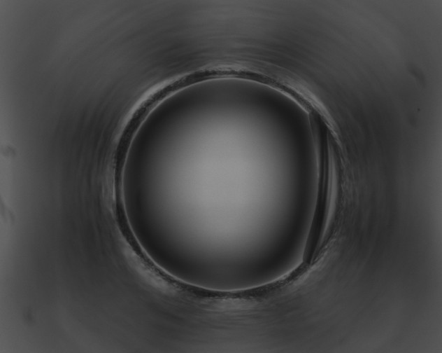 X0000090860984200708030944