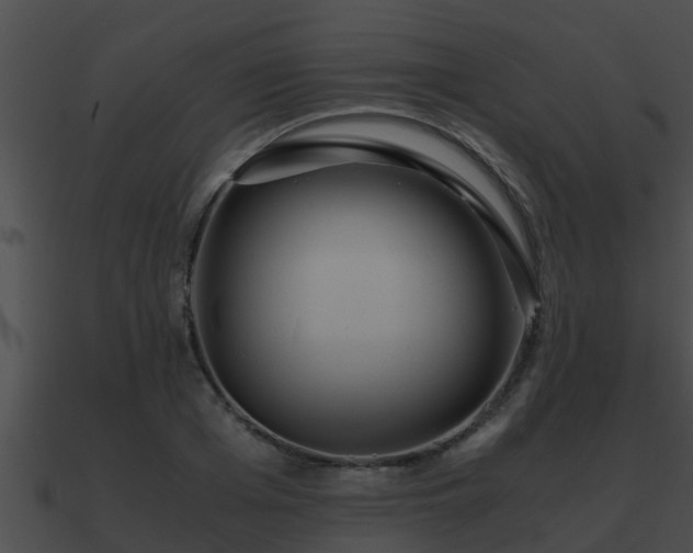 X0000090860985200708030944