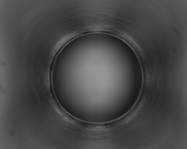 X0000090860986200708030944