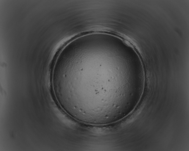 X0000090860987200708030944