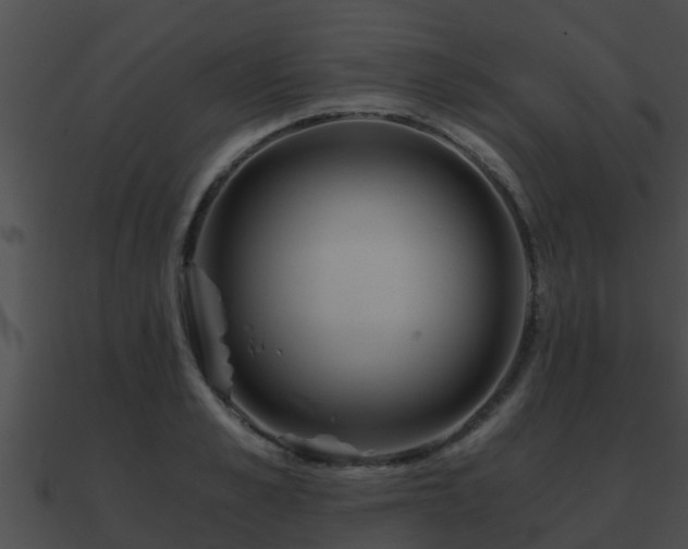 X0000090860989200708030944