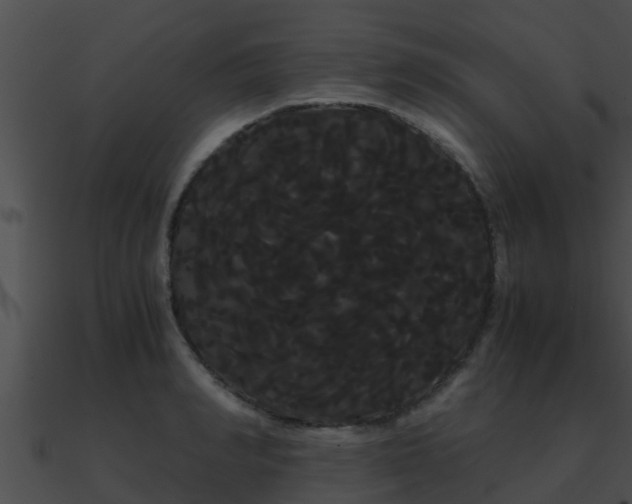 X0000090860990200708030944