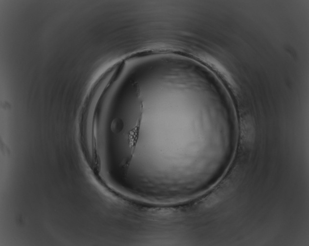 X0000090860991200708030944