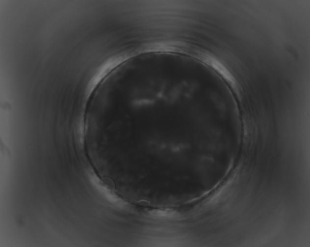 X0000090860994200708030944