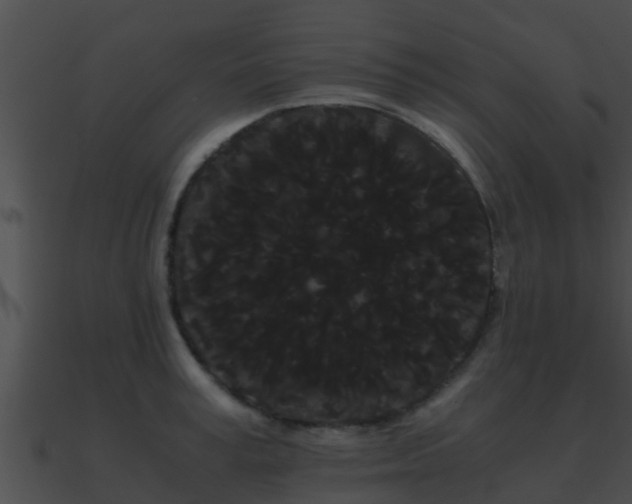 X0000090860995200708030944