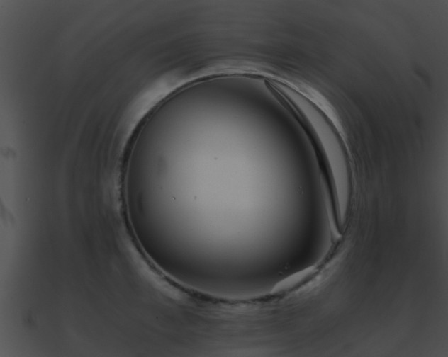 X0000090860997200708030944