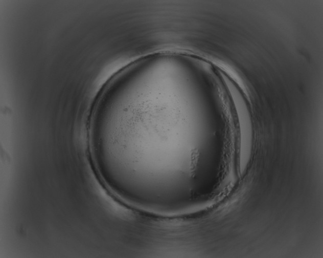 X0000090860999200708030944